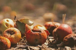 gestion comida sobrante restaurantes